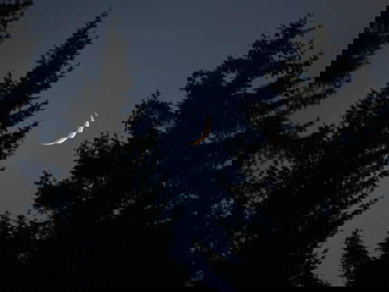 5 v 12: Wat is er allemaal te zien op het donkerste stukje Nederland?