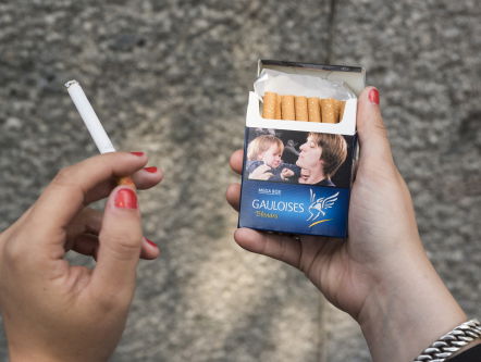 'Een kleine beloning in combinatie met een training werkt beter dan alleen een grote beloning'