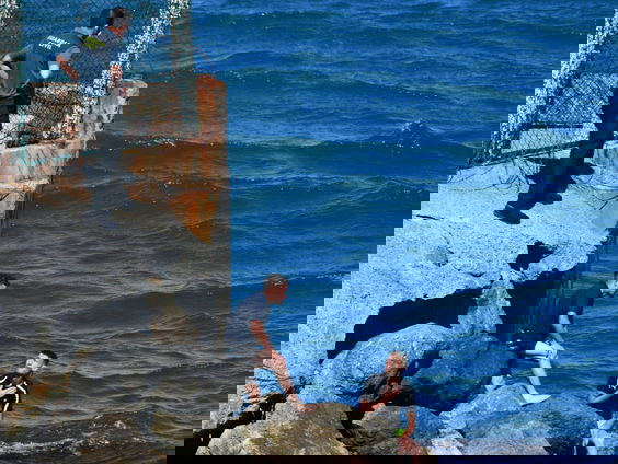 Recordaantal van 5000 migranten bereiken Spaanse enclave Ceuta