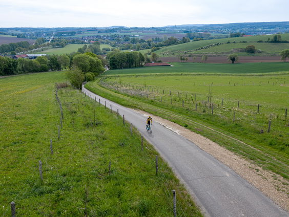 Domper voor Nederlandse wielerfans: Geen Amstel Gold Race