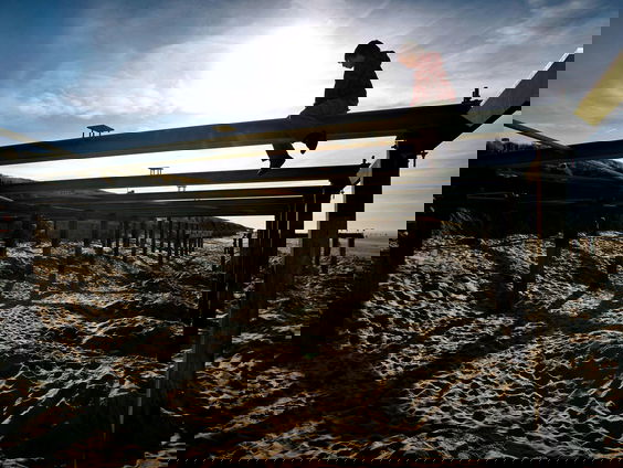 Het pareltje van Noord-Holland: Bergen aan Zee