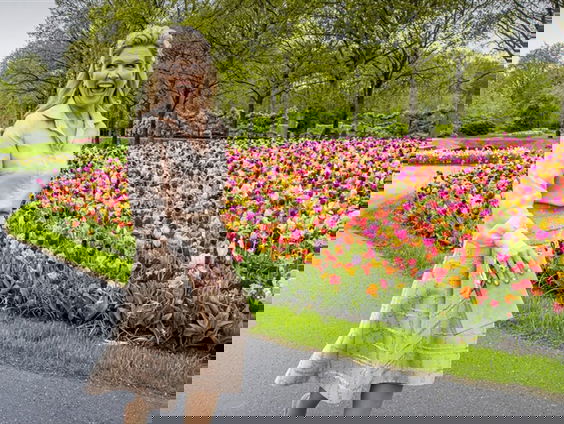 Stand.nl: 'Koningin Máxima is de redding van het koningshuis'