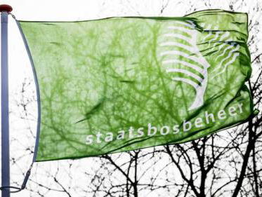 Zorgen Staatsbosbeheer om veiligheid boswachters