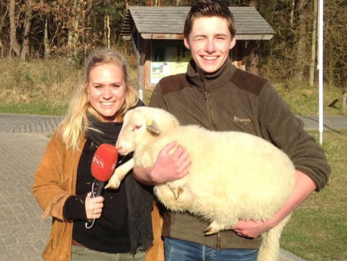 Wat moet je allemaal als schaapherder kunnen?