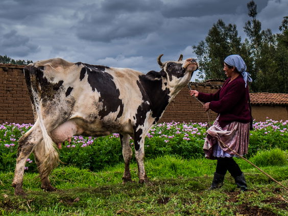 Zomerverhalen #5: Sanne Derks