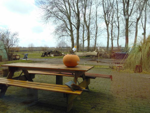 Het gevecht om 'De Boterbloem'