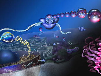 Je genetisch materiaal bewerken – niet voor altijd, maar heel eventjes