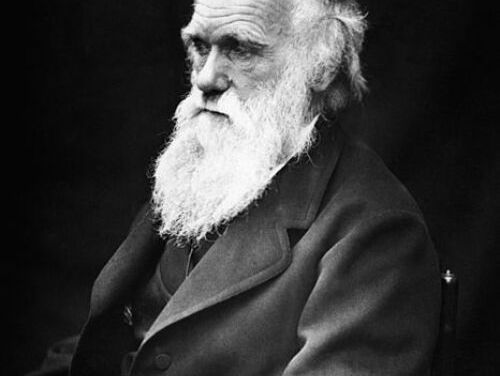 Darwin in zakformaat