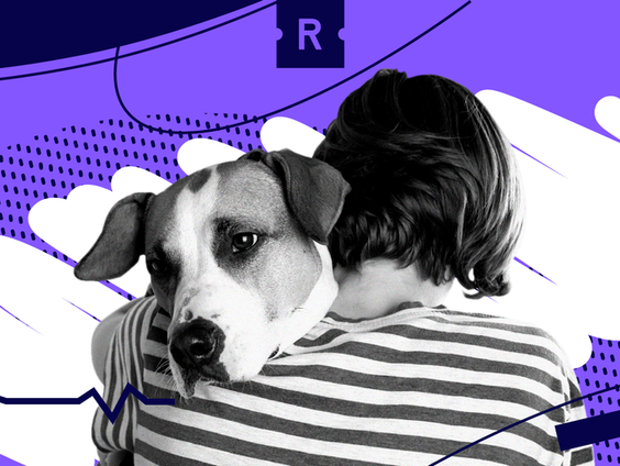 ReportersNL: Rotterdam weigert vergoeding hulphond bij psychische klachten