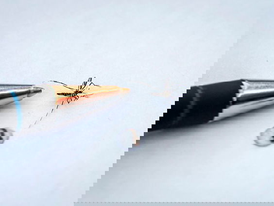 Foto van platgeslagen mug moet onderzoekers helpen