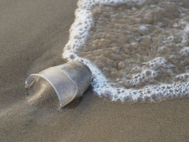 Vervuiling in de Noordzee