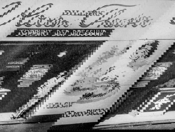 Het vlooientheater uit de podcast over vlooien