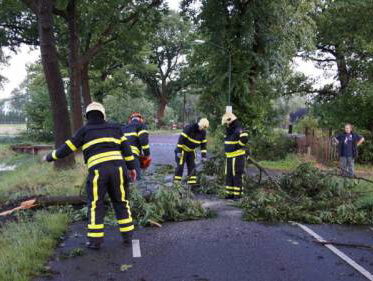 Zomerstorm: takken breken gemakkelijker van bomen door droogte