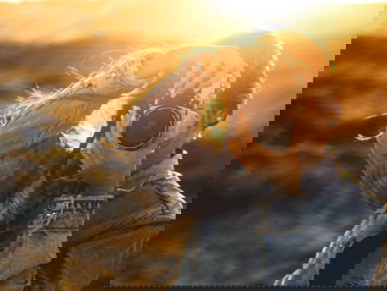 "Bij bewerkte foto's op sociale media moet een disclaimer komen te staan"