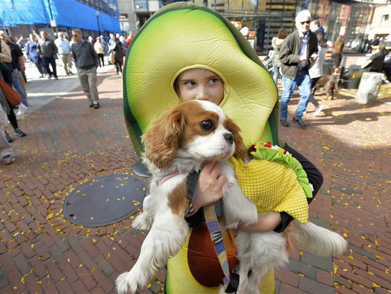 Hoe de avocado de wereld veroverde