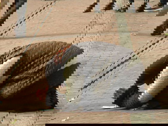 Ondernemers in Utrecht willen bedelverbod