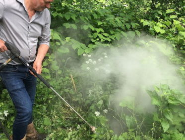 Duizendknoop effectief bestrijden zonder gif