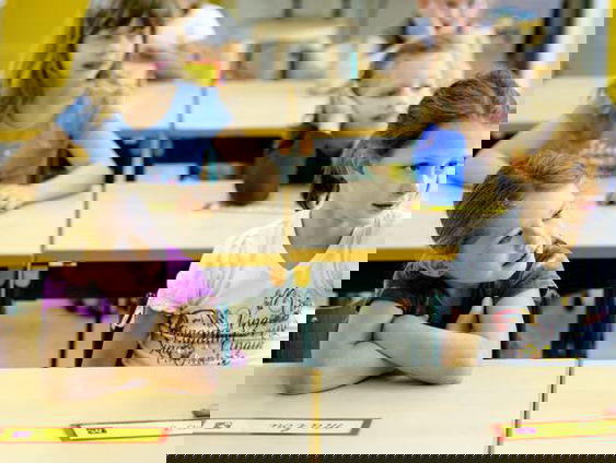 Een jaar uit het leven van een basisschooldirecteur