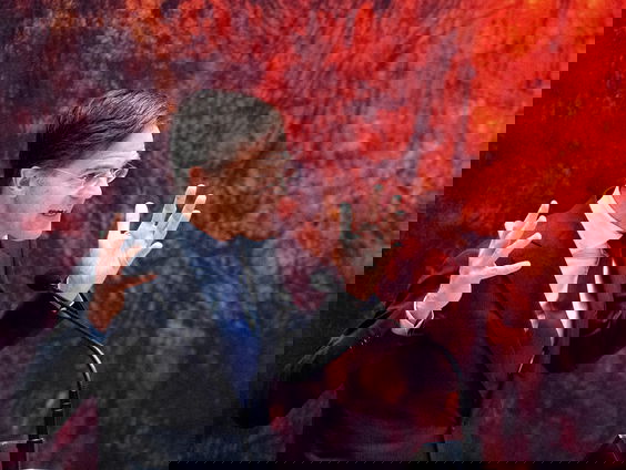 Politiek historicus Vossen: 'De achilleshiel van ons politiek stelsel is pijnlijk duidelijk'