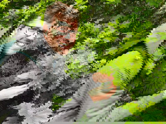 Eik is rupsenparadijs