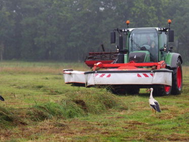 Duizend jaar maaien in Drentse Aa