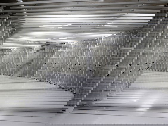 Sandra Kisters over het tonen van ongeziene kunst op een openbare plek