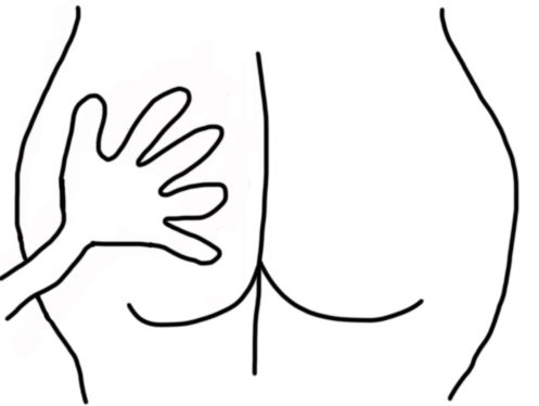 "Zaadballen zijn een sociaal construct"