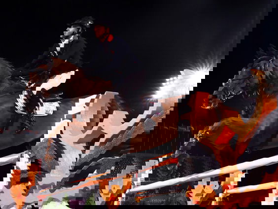 Willie Wijnen uit Berlicum fokte het gouden olympische paard Explosion W