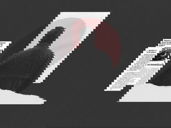 Het mediacircus draait door: de Deventer moordzaak als mediatribunaal