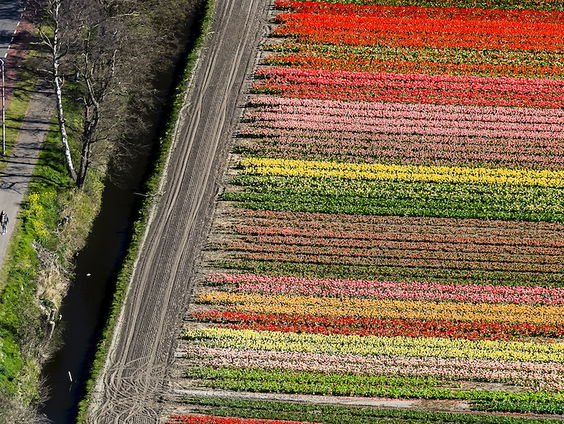 Advies Gezondheidsraad over landbouwgif 'met gejuich' ontvangen: 'Voor het eerst naar ons geluisterd'