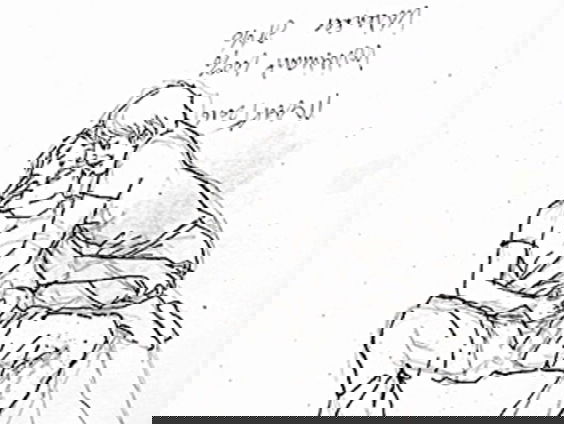 De weduwe van tekenaar Peter van Straaten over zijn werk