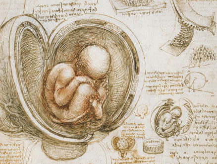 Leonardo Da Vinci: ook in wetenschap een wonderbaarlijk genie