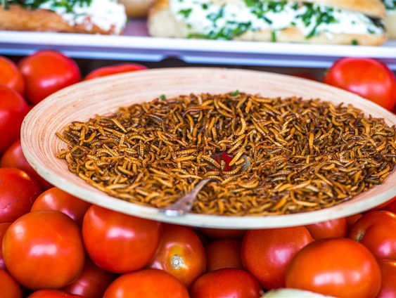 Komt de meelworm in ons dagelijks dieet?