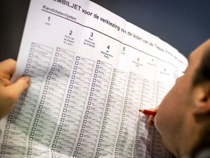 Hoe belangrijk wordt de strategische stem?