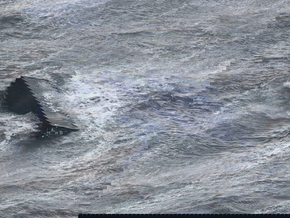 Petitie tegen onveilige containervaart in het Waddengebied