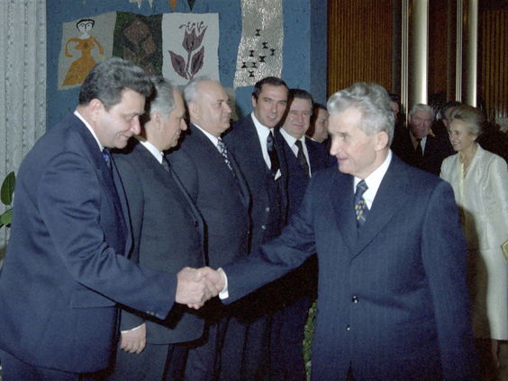 Zomerverhalen #8: Mira Feticu