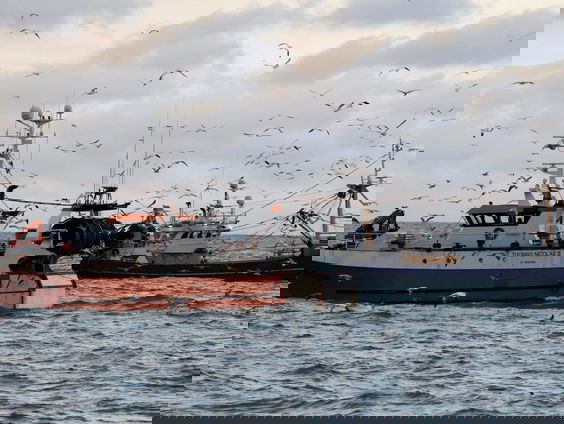 Vijf vragen over juridische procedure voor betere controle op visvangst