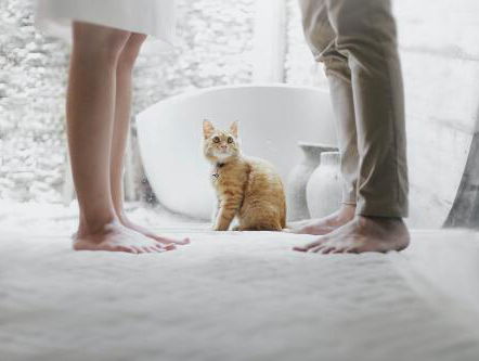 Hoe los je familieruzies op?