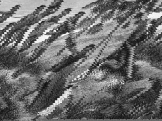 Slavernijmuseum in Amsterdam (of elders) weer een stap dichterbij