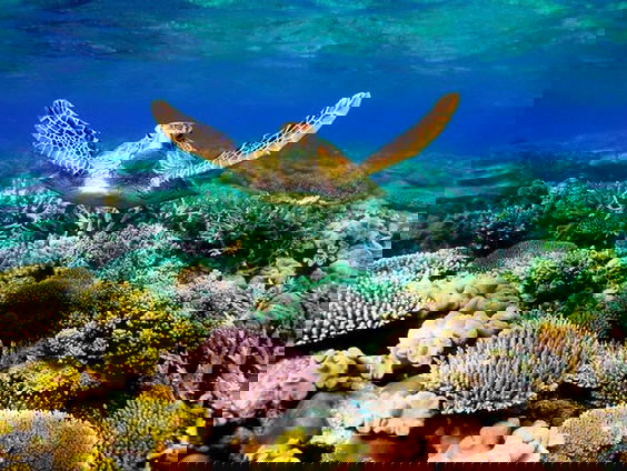 De UNESCO werelderfgoedlijst