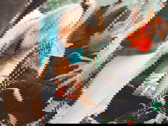 Wat zijn de voordelen van een volkstuin?