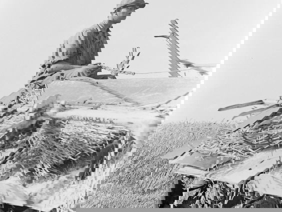 2e uur: Nelleke Noordervliet over Rotterdam, Dirk Wolthekker schreef 'Verre Verwachtingen', Loes Hegger o ...