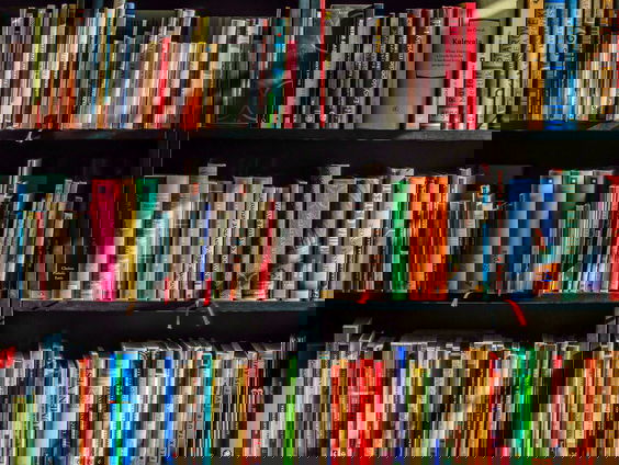 Dit is het non-fictie boek van de maand april