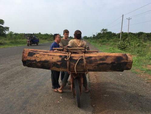 Illegale houtkap Cambodja
