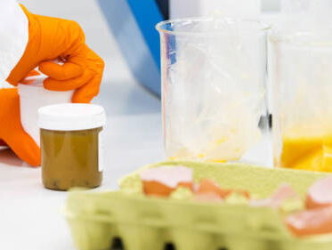 'Het kabinet moet niet anderen de schuld geven van de eiercrisis'