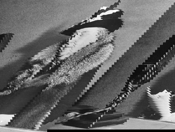 Het Spoor Terug: Het oor van miljoenen