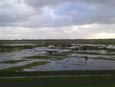 Atlas van de Oosterschelde: moerassig veengebied