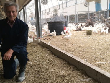 Klimaatneutrale eieren