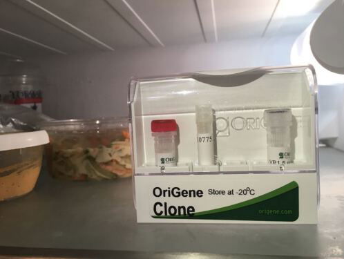 Dopingjagers machteloos tegen nieuwe epo