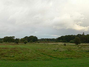 Best onderzochte natuurgebied van Nederland